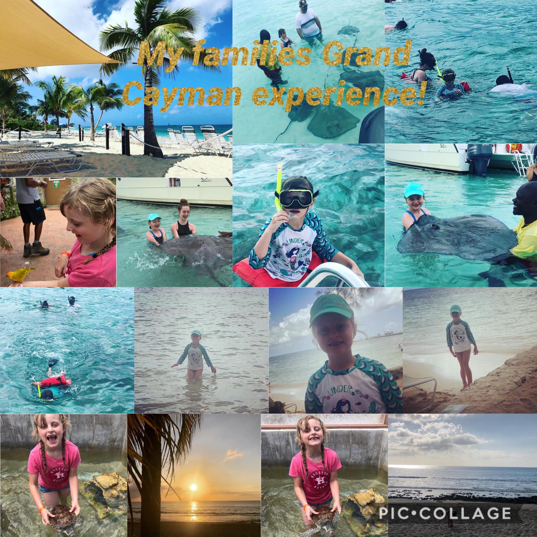 My families Grand Cayman experience








This is for my schoolwork btw