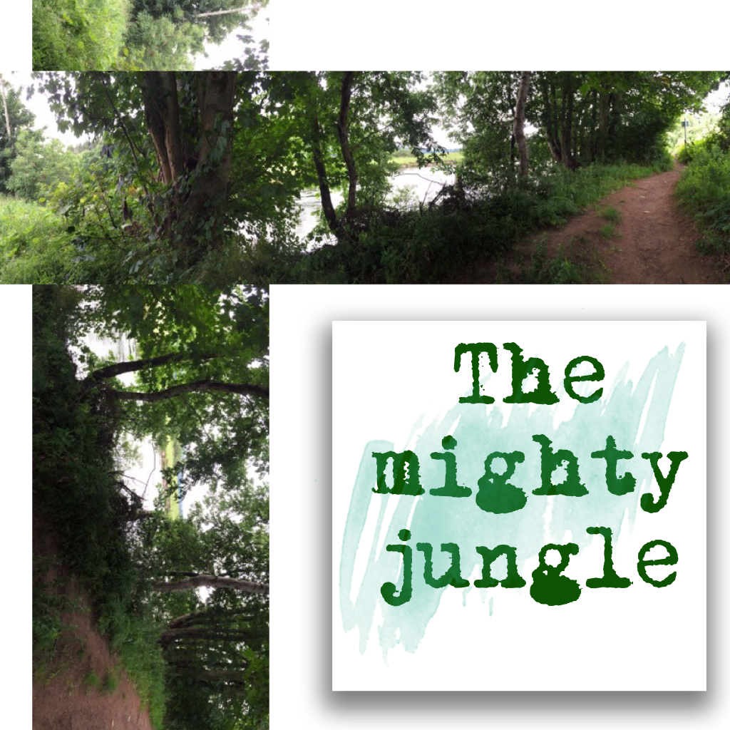 The mighty jungle⭐️
Just went to the zoo😏
I'm the queen of the jungle you're the dirty peasants💁🏻