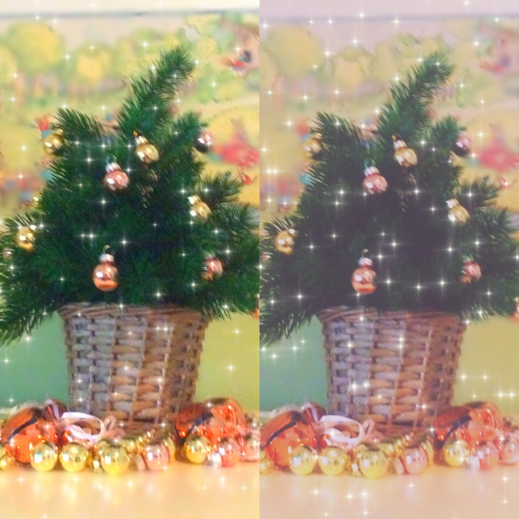 #MiniChristmasTree #Tap
I got my own mini Christmas tree in my room
#ChristmasTreeGoals💛💚✌🏼️💗🎄🎄🎄🍉⭐️🌸