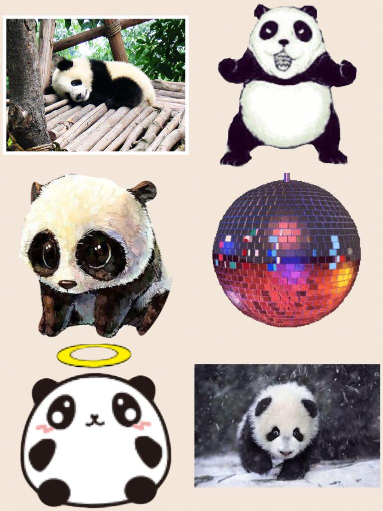 Collage by pandasforlife