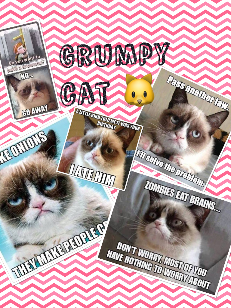 Grumpy cat 🐱 