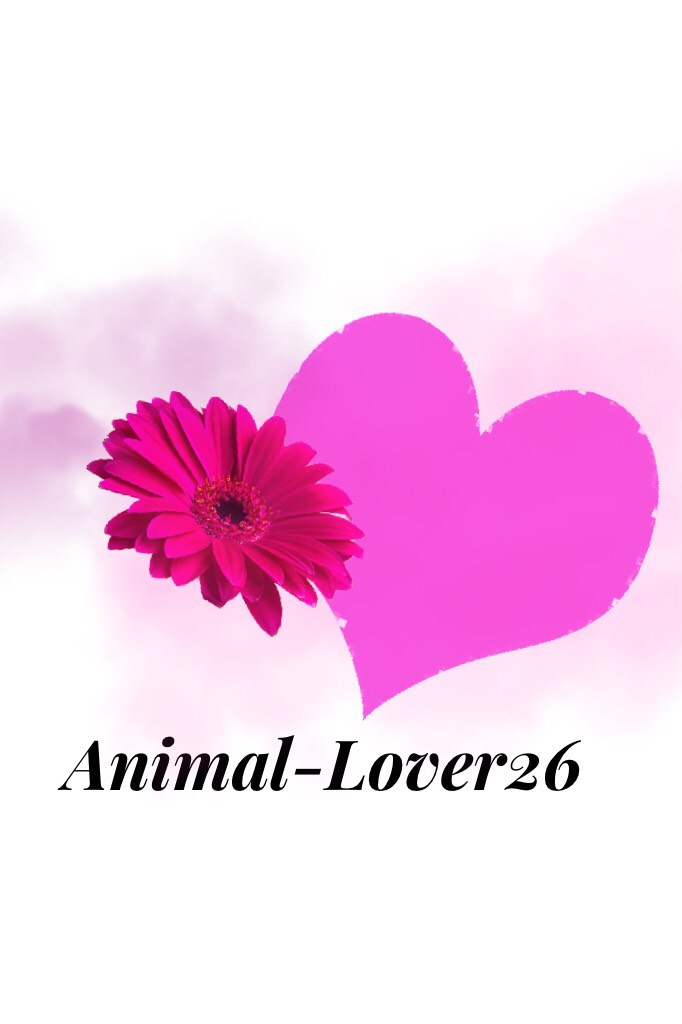 Shoutout to animal-lover26