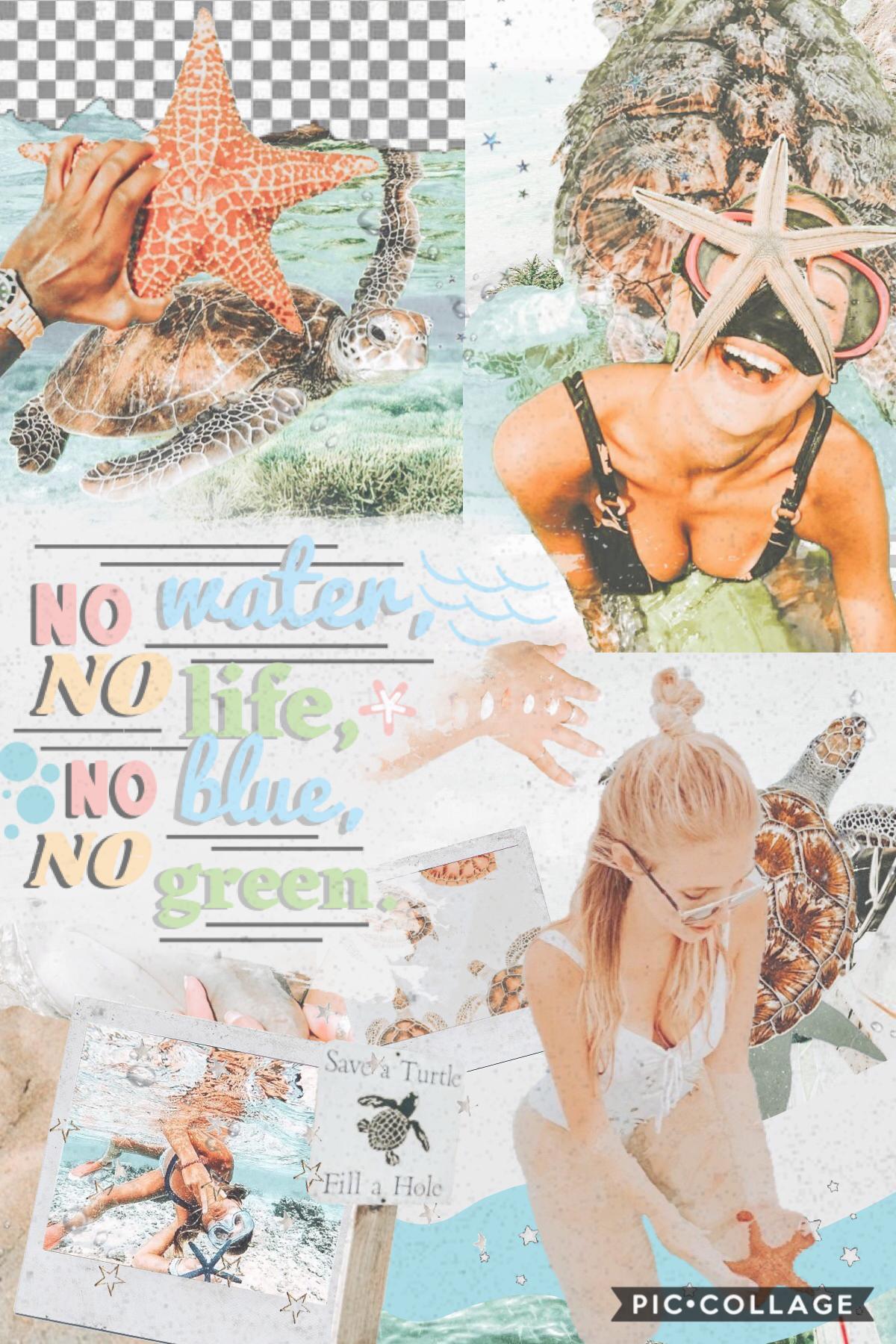 how’s everyone doing? i love the earthy theme of this collage!! 🌿🌊🐢 now i’m thinking of writing a summer bucket list!! ☀️🌻🌼 also, have i mentioned before how i much i love cruising!! 🛳🚢⚓️ i’ve been on royal caribbean’s allure of the seas!! third biggest i