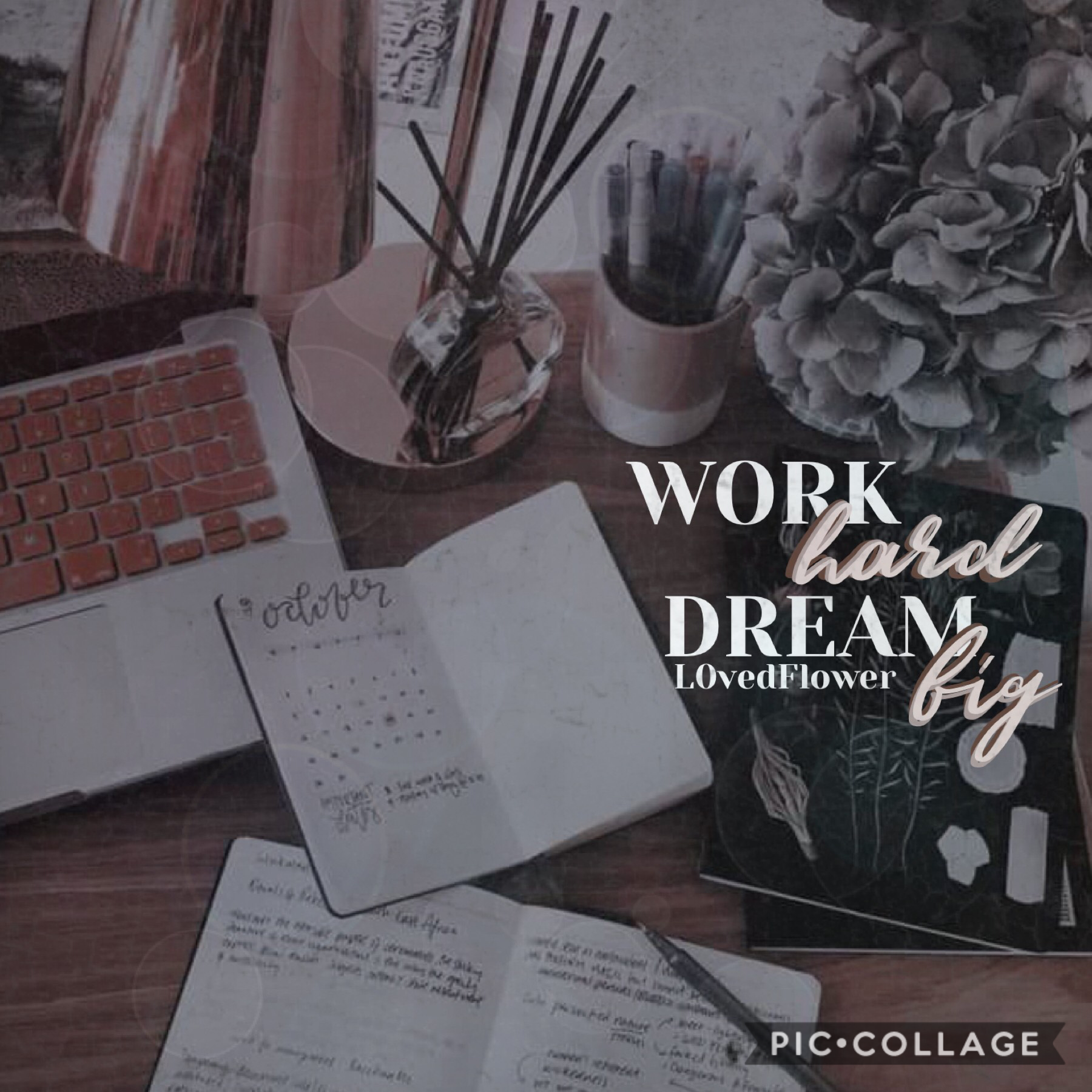 ✰  [click] ✰ 

✰ “work hard, dream big” ✰ 
✰ I really like this! ✰
