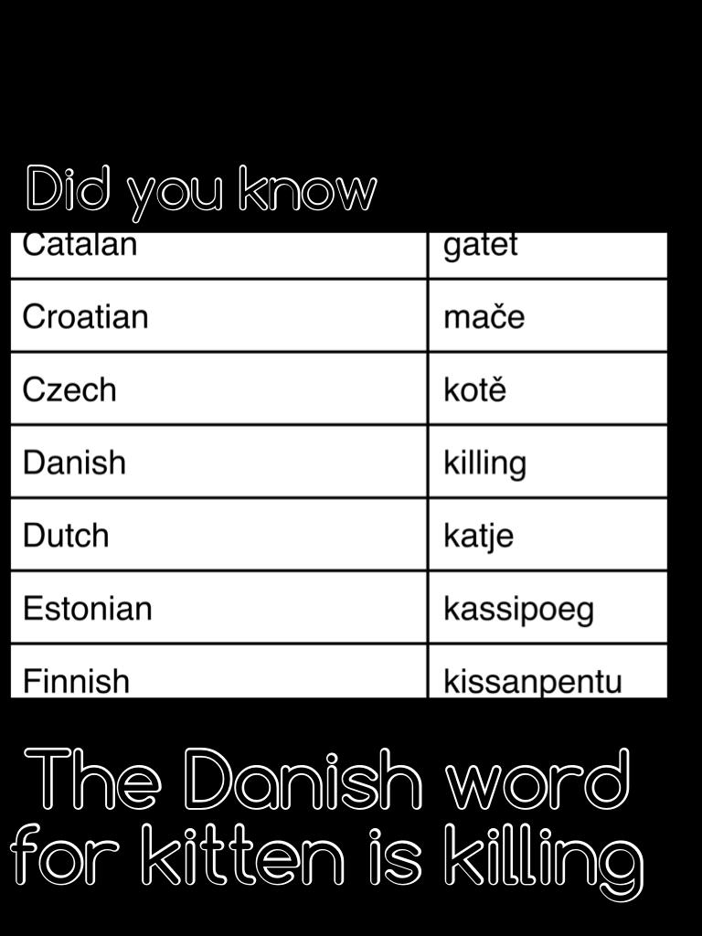 The Danish word for kitten is killing