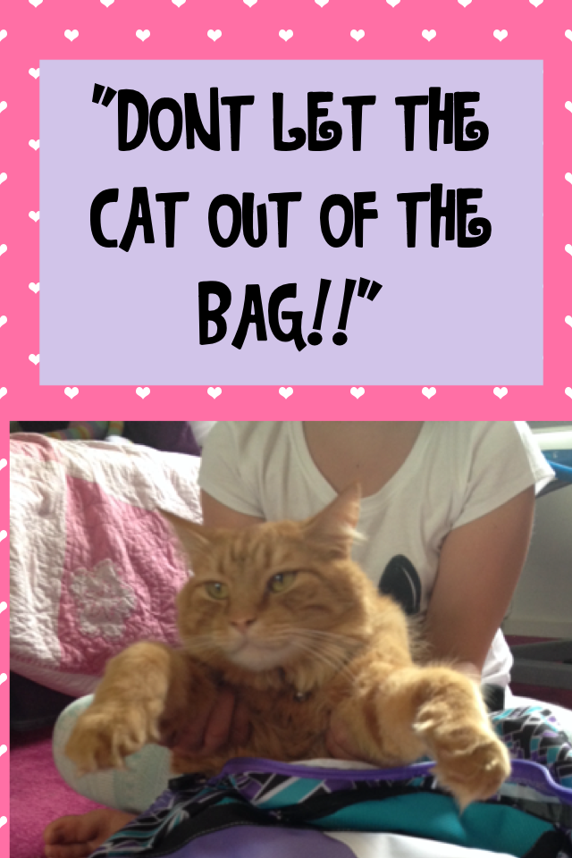 "DONT LET THE CAT OUT OF THE BAG!!" #Animals in bags