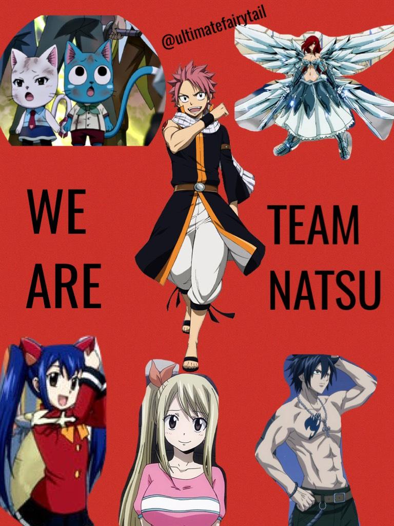 .We Are Team Natsu.