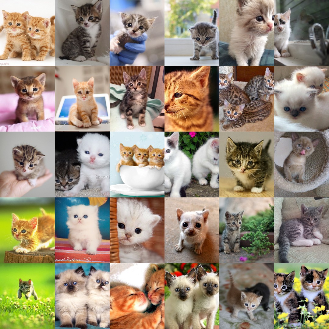look at all 30 of these adorable kittens