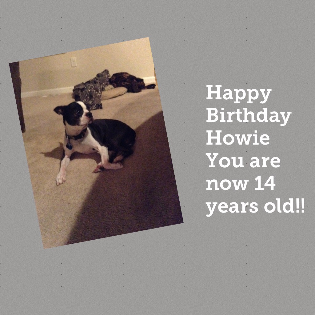 Happy Birthday Howie
You are now 14 years old!!