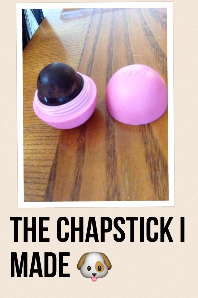 The Chapstick I made 🐶