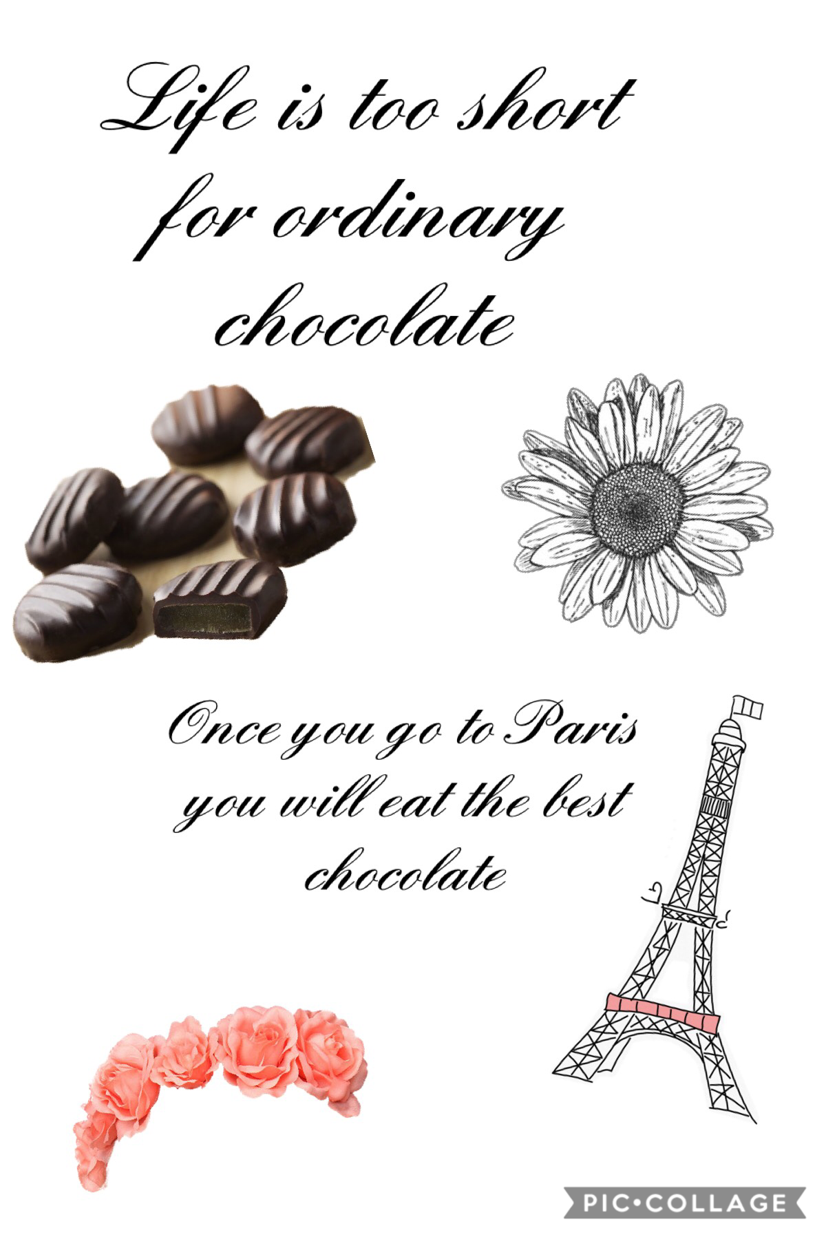 Paris has the best chocolate!