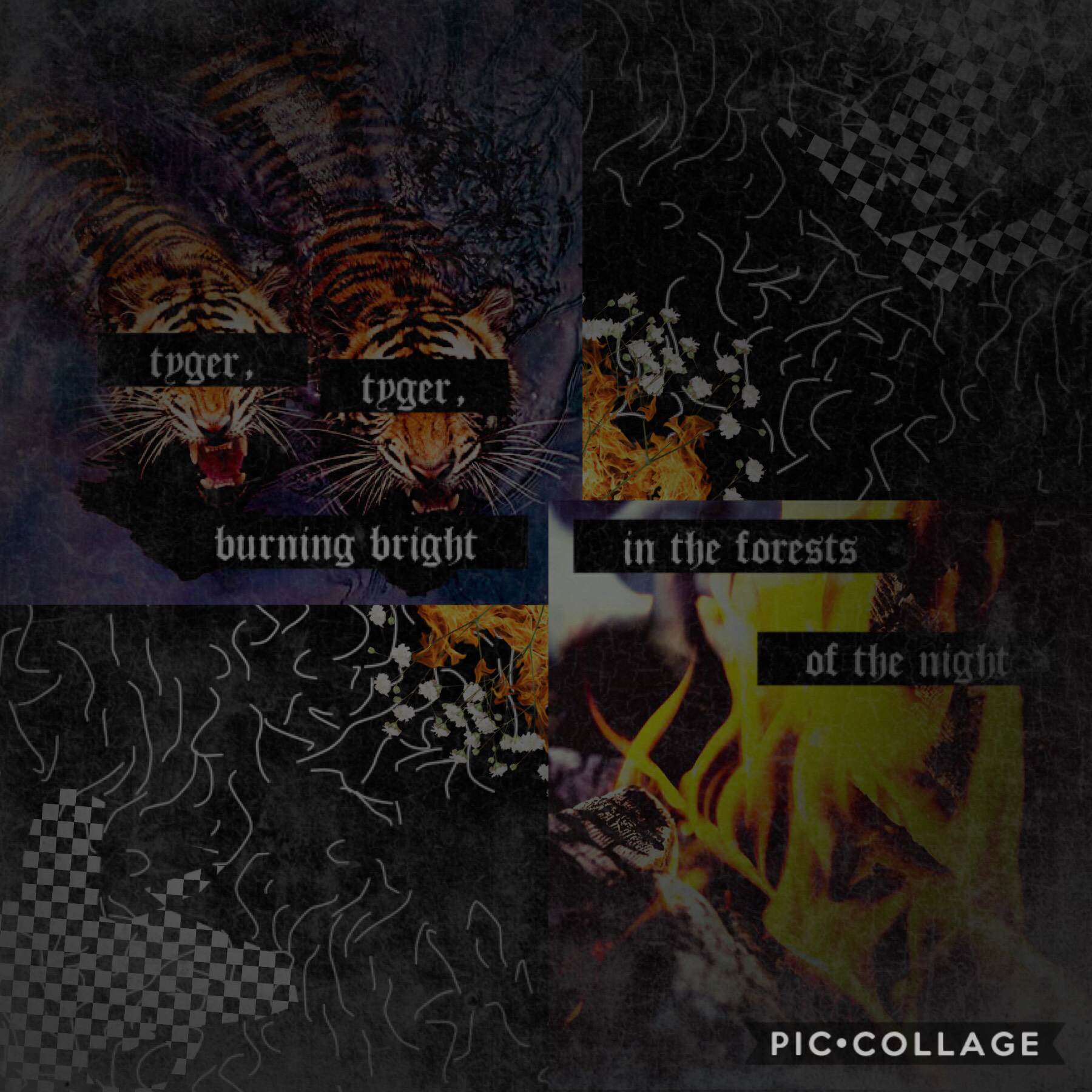 🔥🐯🔥
Woot
I like how this turned out
I really really love this poem. 
We sang it as a song in choir at music camp so that’s cool 😎 
I might make this a series/theme?
