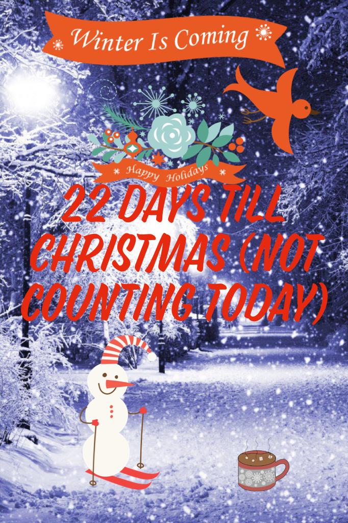 22 days till Christmas (not counting today)