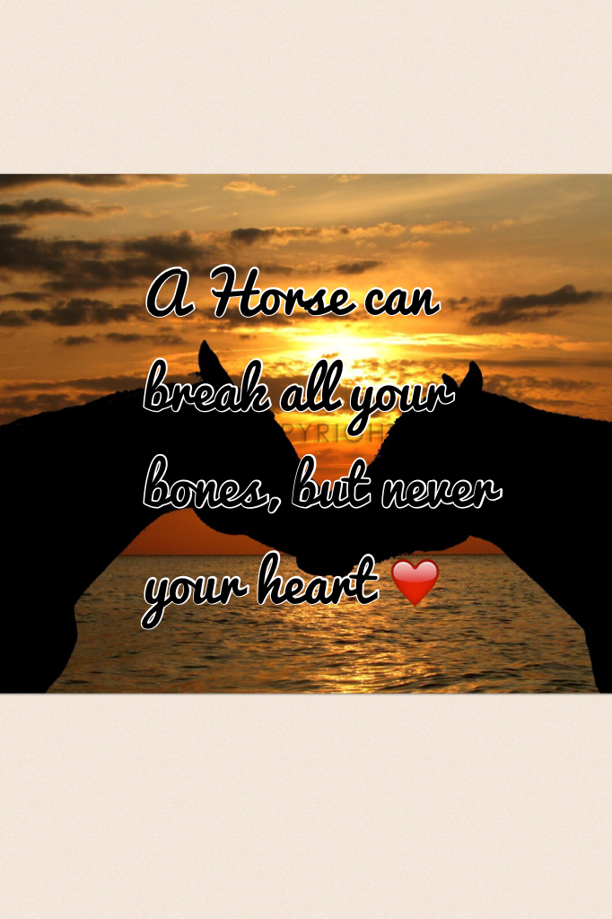 A Horse can break all your bones, but never your heart