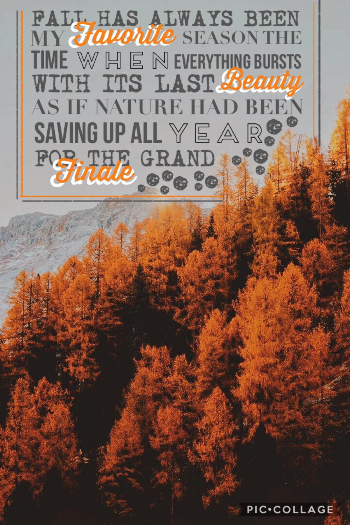 👻click👻
I actually really like the way this turned out, I made it my home screen lol. 🎃 I’m really excited for fall and since today is the first day of Septemberrrr here you go! 😂 Q: favorite season? A: fall. 🍁🎃🧡👻😂 I’m super pumped 