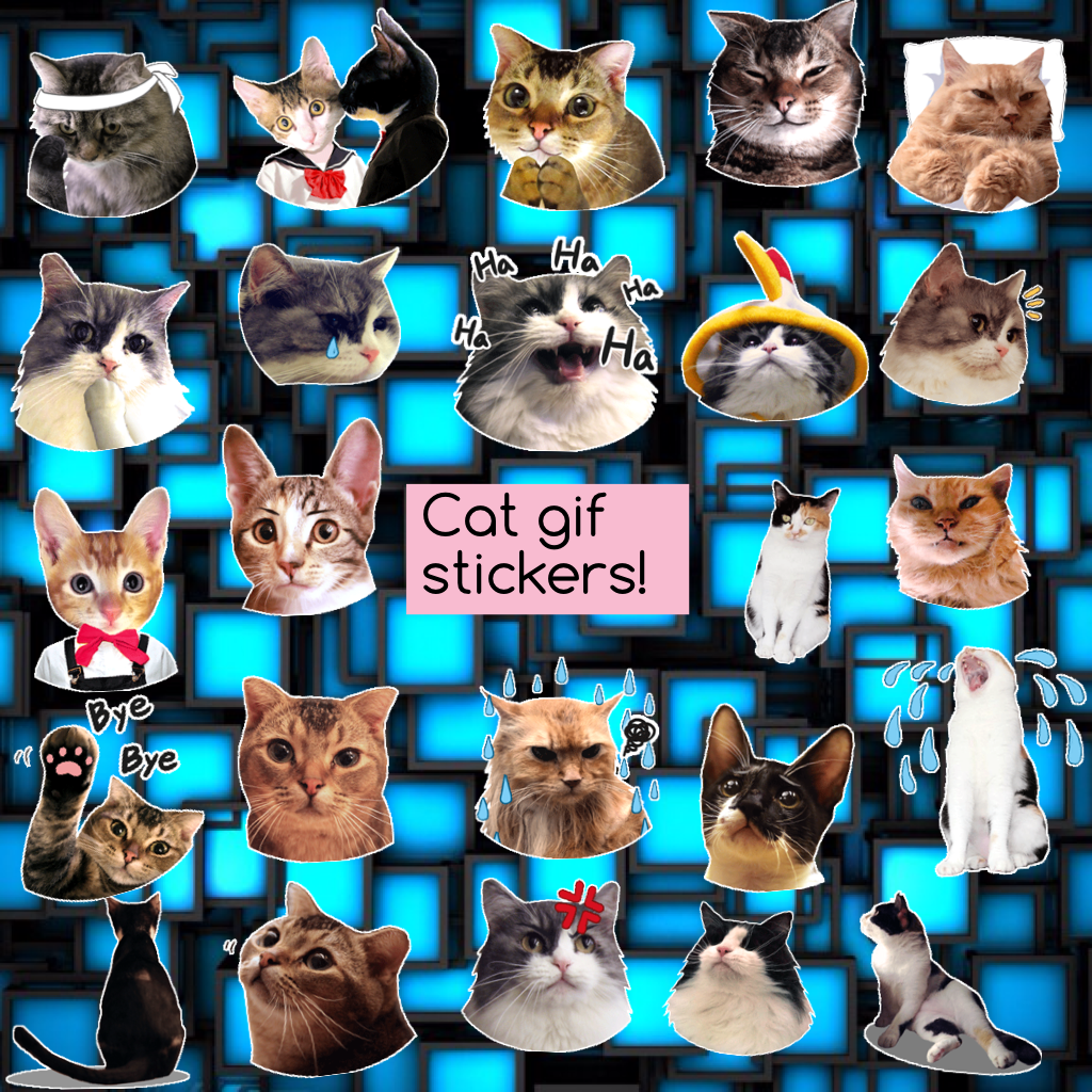 Cat gif stickers!
MEOWWWW!!!!