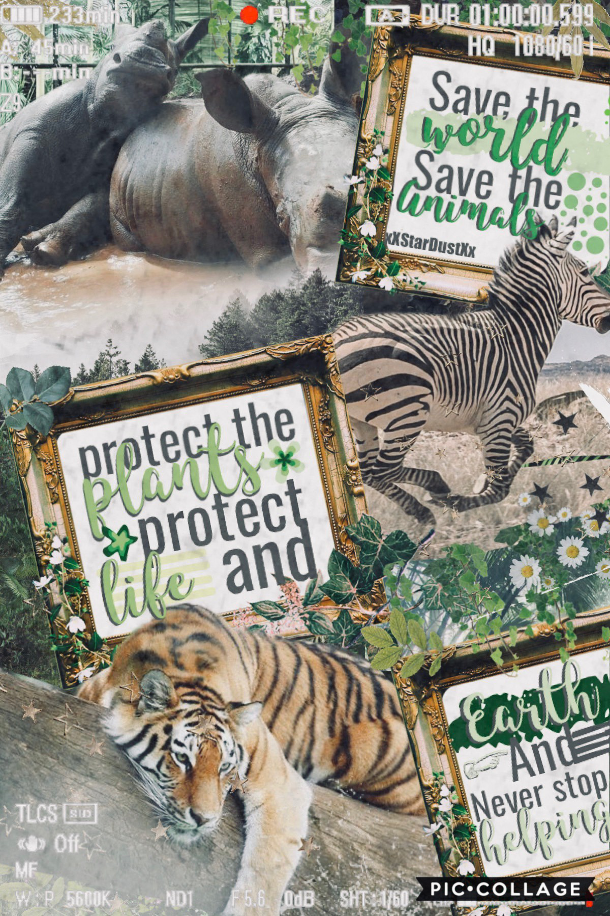 🌿tap🌿
Protect the environment and save the animals and plants
#protecttheplanet #savetheanimals #stoppoaching #stopglobalwarming