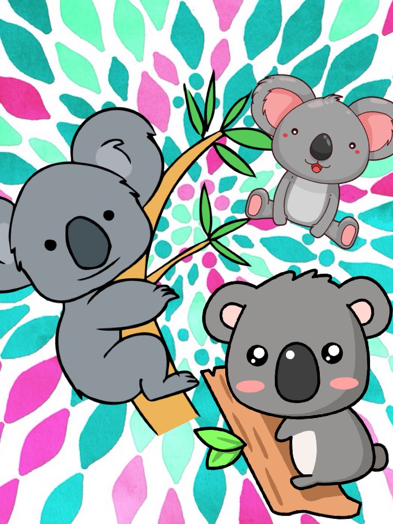 Koala love🐨❤️