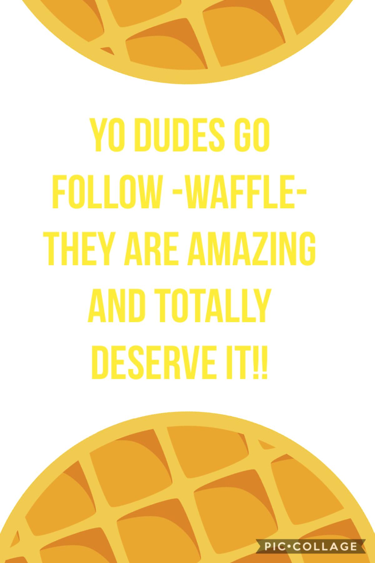 Go follow -waffle-
