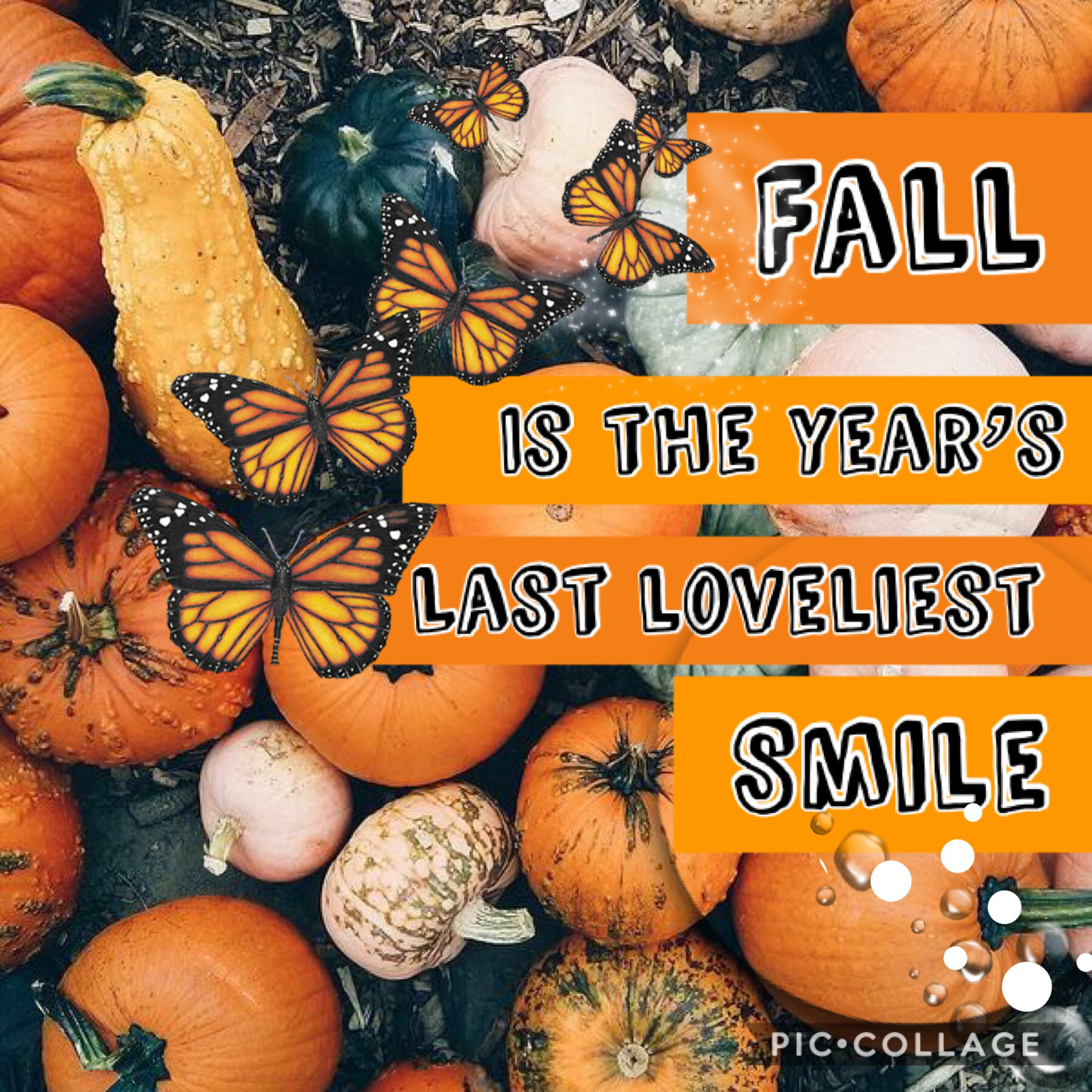 🧡Tap🧡
Is it really fall though?
I mean, it’s only August people.
Qotd: What’s your favourite season?
Aotd: Spring and Autumn🧡