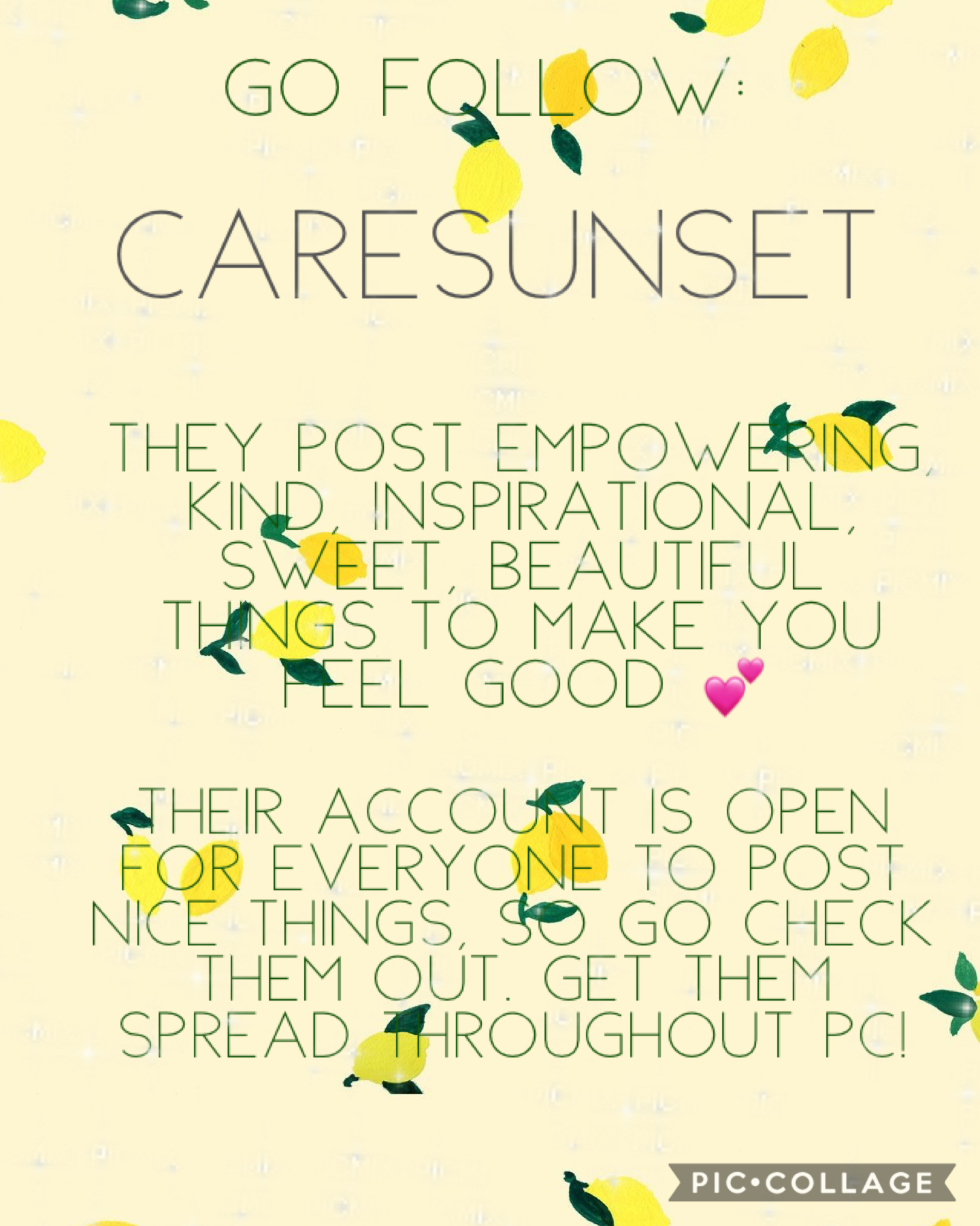 Caresunset 💕 Their next 10 followers I will follow! So go follow! 😃 
