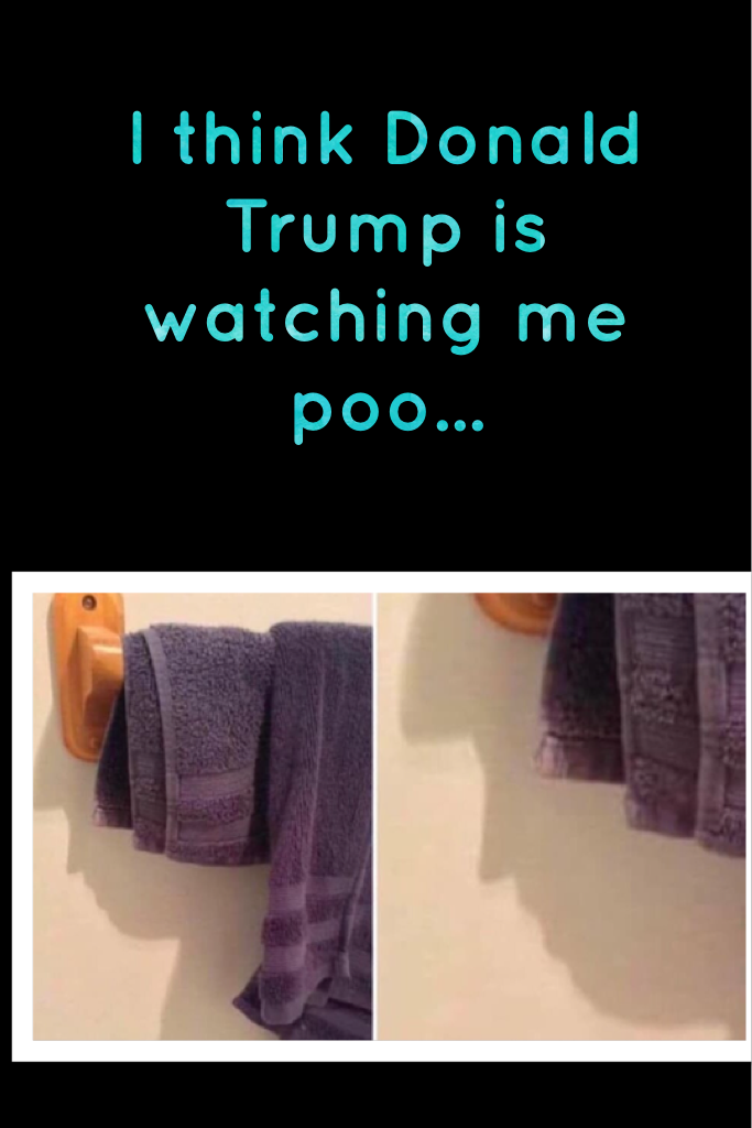 I think Donald Trump is watching me poo...