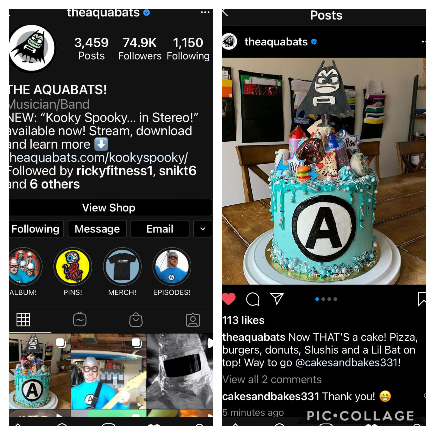 Guys!! The Aquabats featured MY cake on their Instagram page! I’m so excited 😁