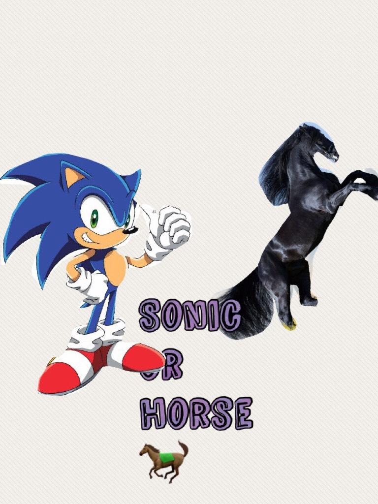 Sonic or horse 🐎 