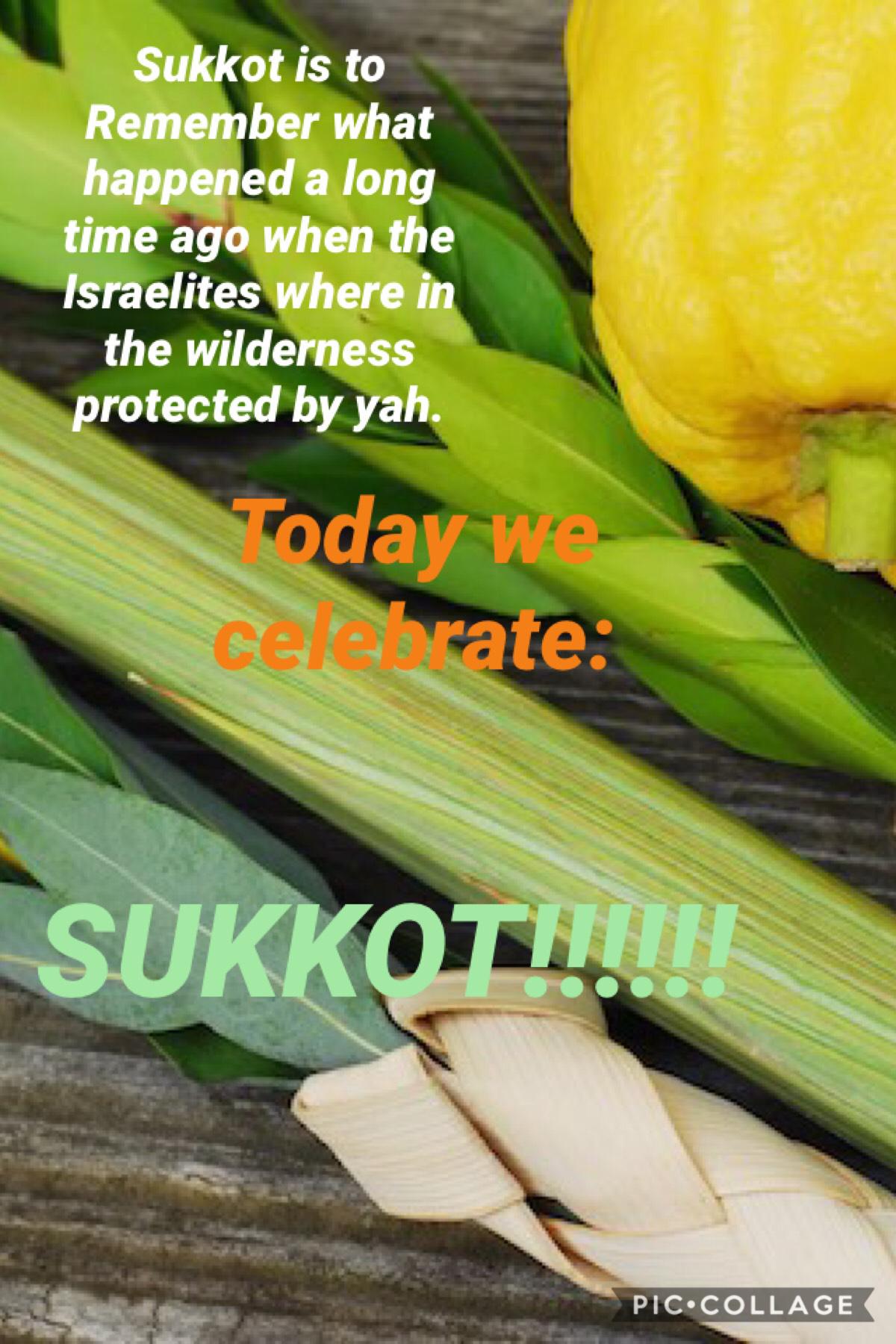 Happy sukkot everybody 