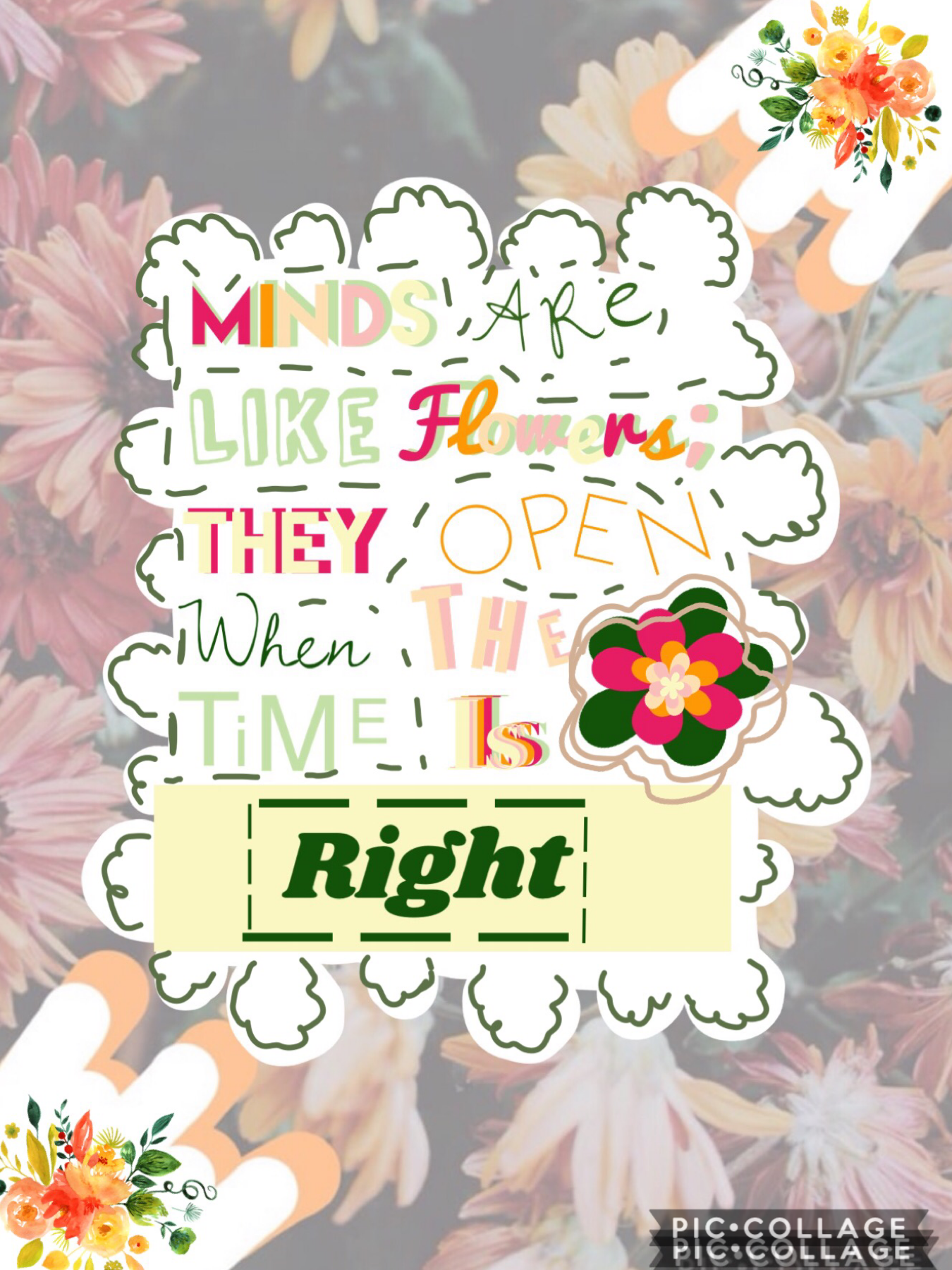💐Collab with......
The amazing Ocean_Babe! She chose the flower bg and I did the quote, pngs and stuff. She is she is so kind and one of the nicest people ever guys! Please go follow her!☺️💕