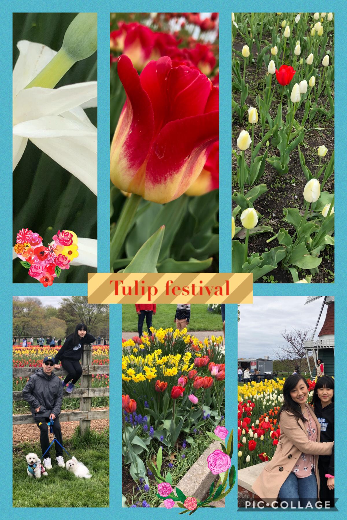The tulip festival was so gorgeous! All the flowers and activities, plus all the carnival food...😏 -sophie❤️