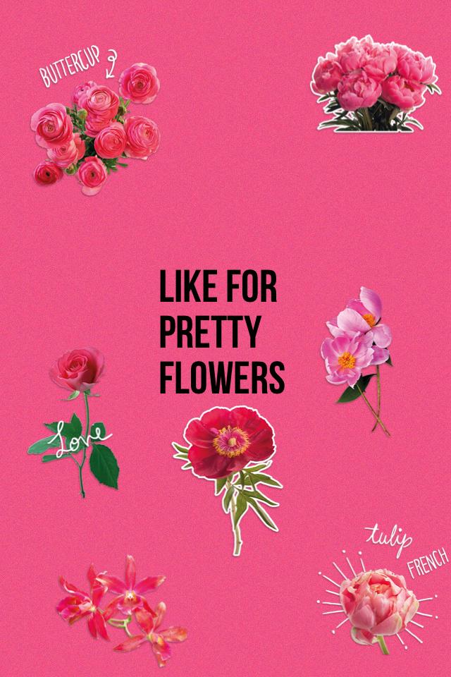 Like for pretty flowers🌷🌸🌺