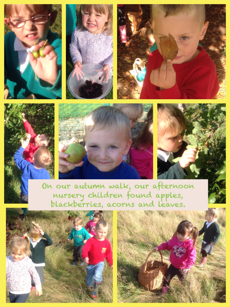 On our autumn walk, our afternoon nursery children found apples, blackberries, acorns and leaves.