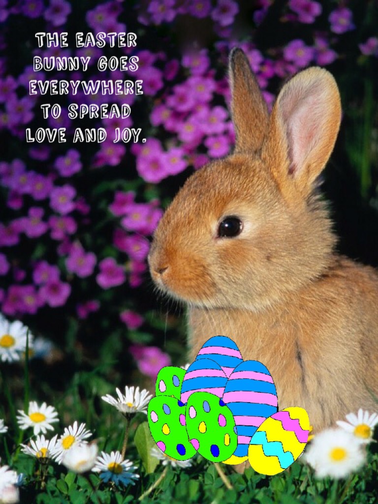 The Easter Bunny goes everywhere to spread love and joy.