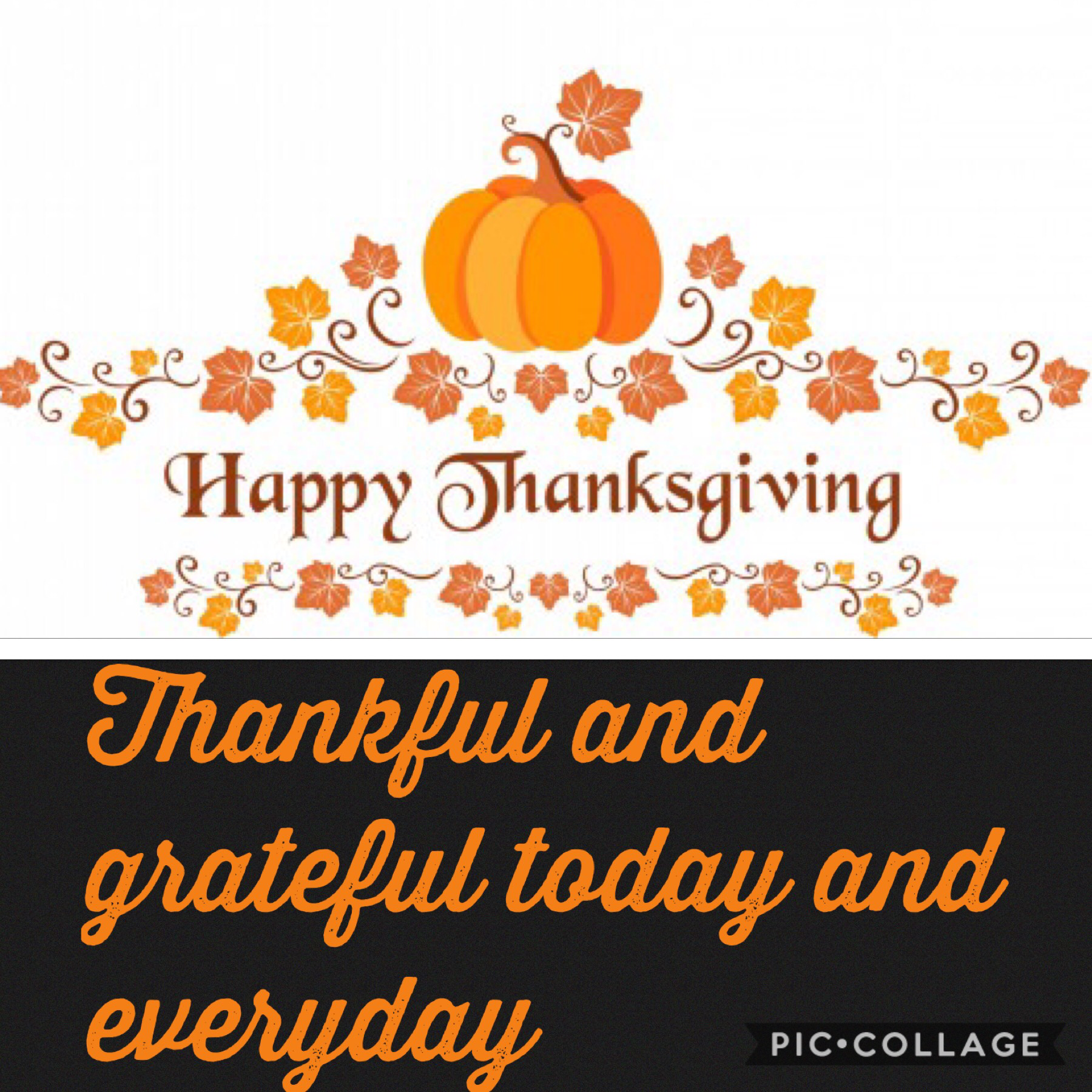 Happy thanksgiving 🍽🍁🦃 