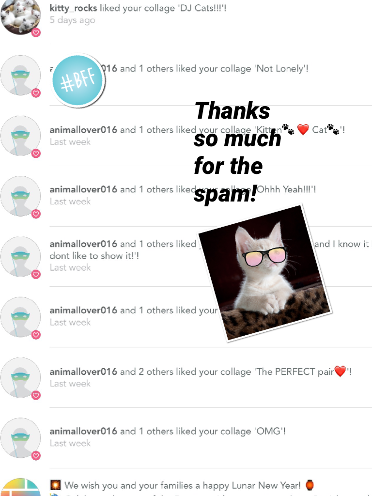 Thanks so much for the spam!