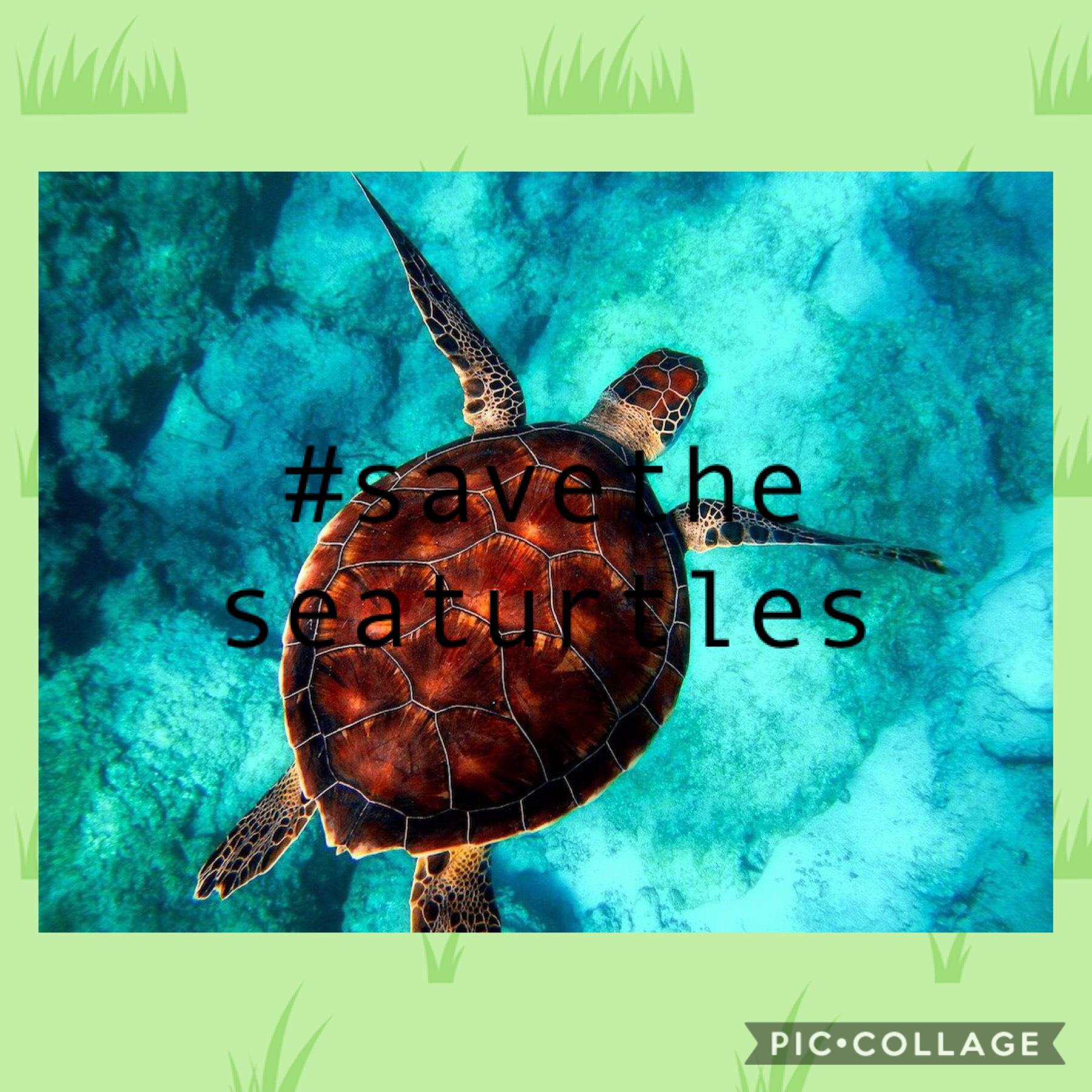 Save them sea turtles 🐢 