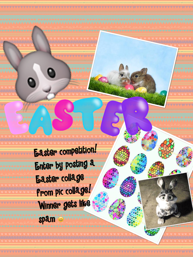 🐰 Easter Competition 