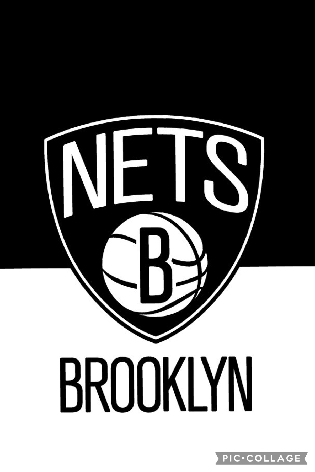Brooklyn nets#Kylie and kevin