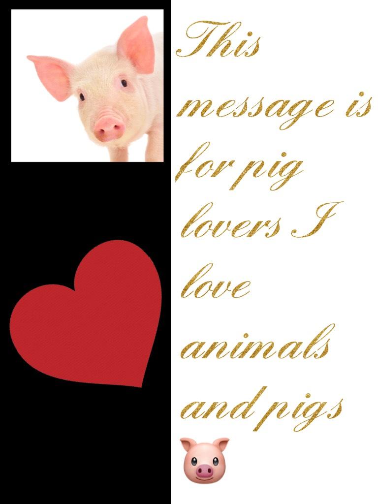 This message is for pig lovers I love animals and pigs 🐷 