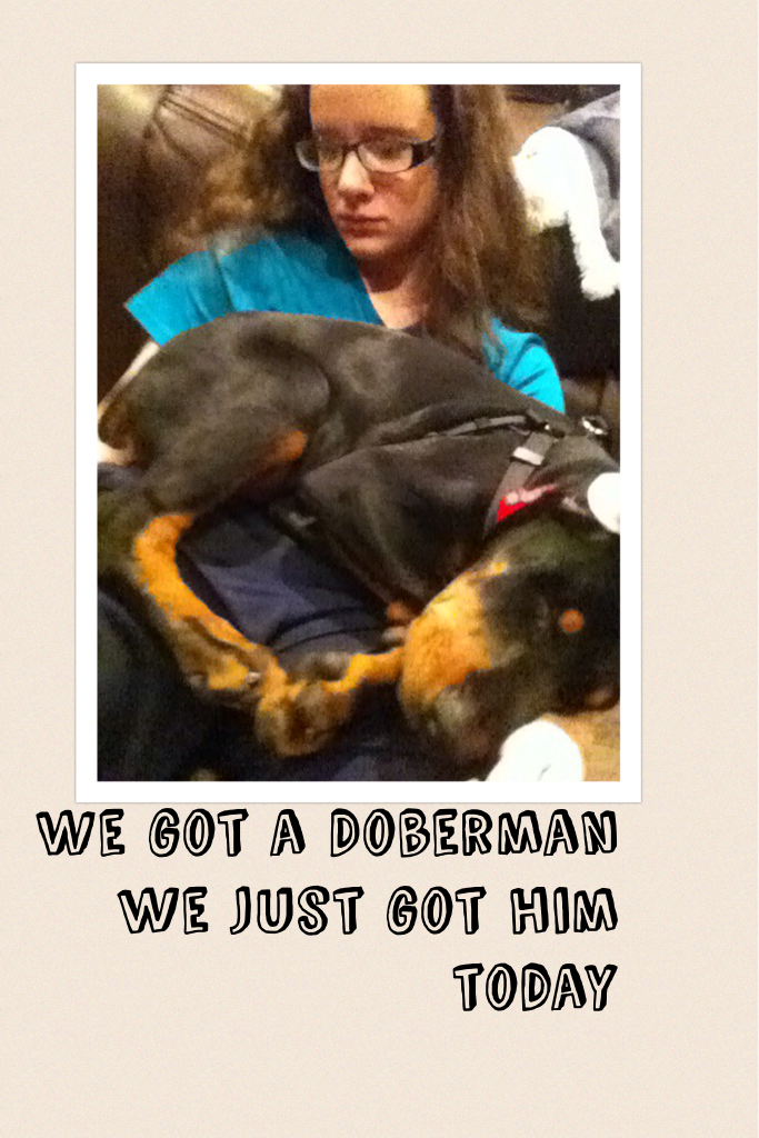 We got a Doberman we just go him today
