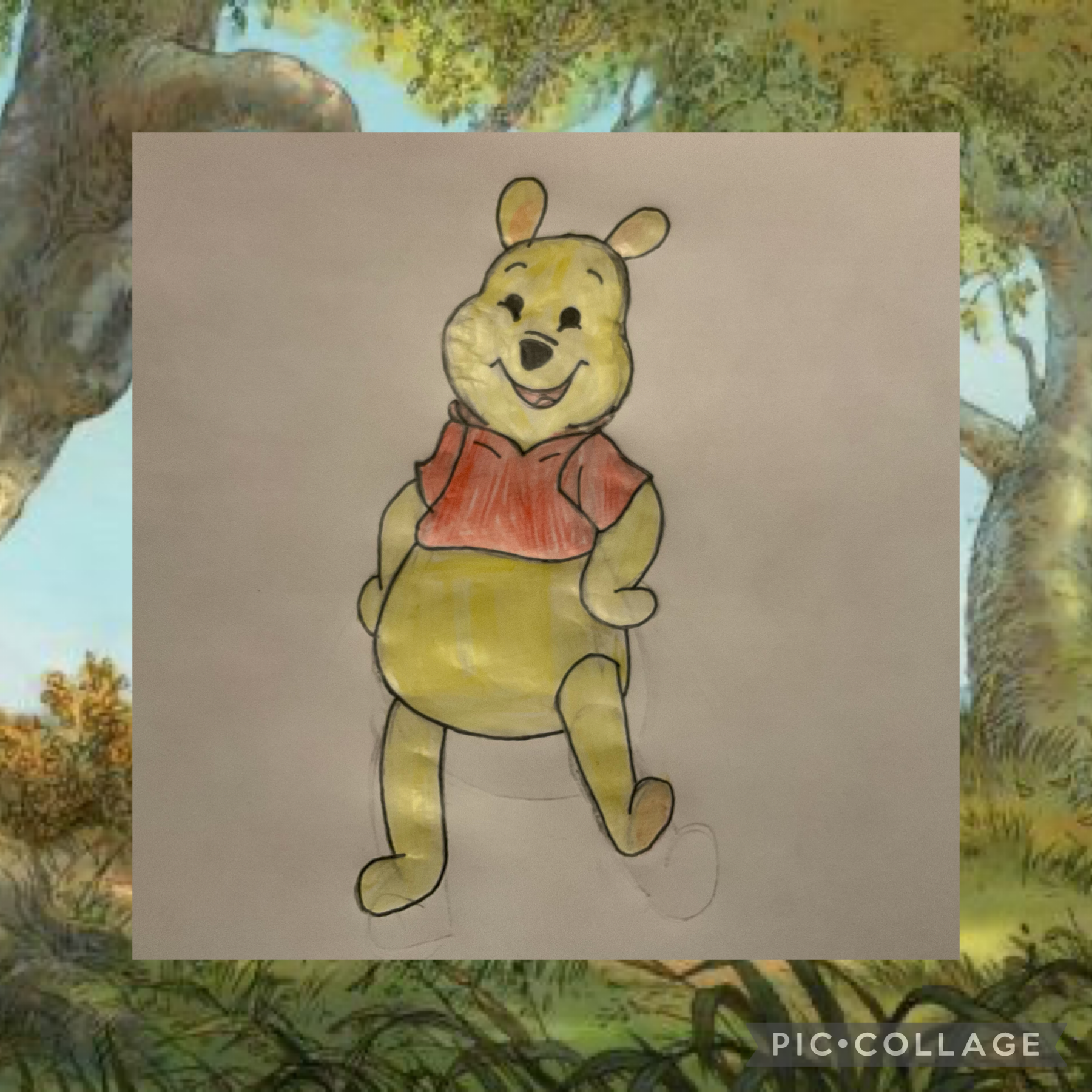 Winnie the Pooh 🍯 