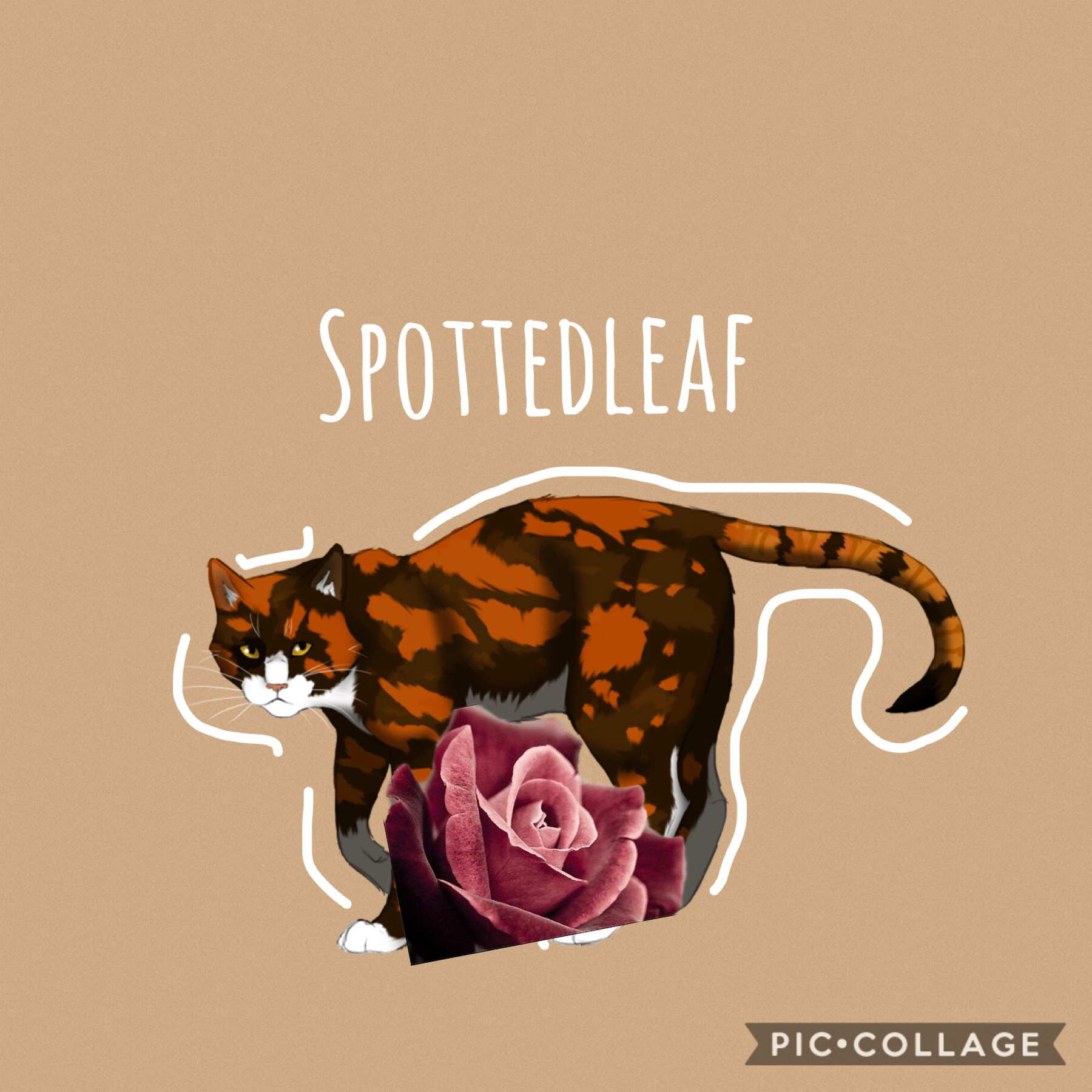 Spottedleaf 