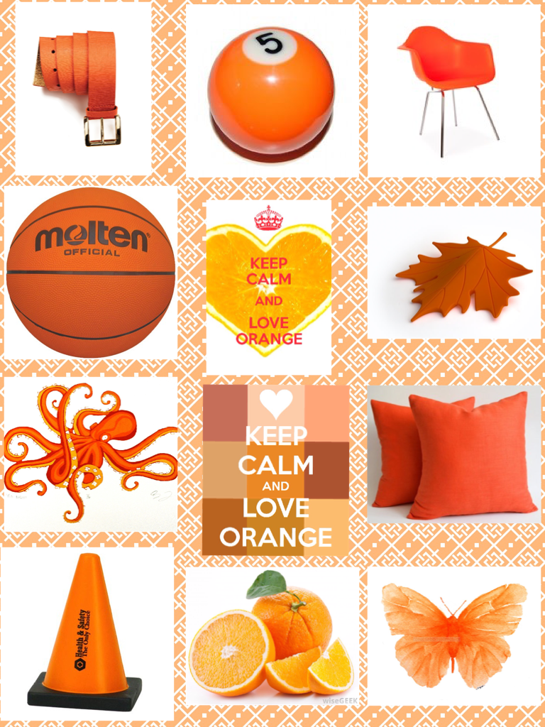 Orange lover!🍊🎃📙