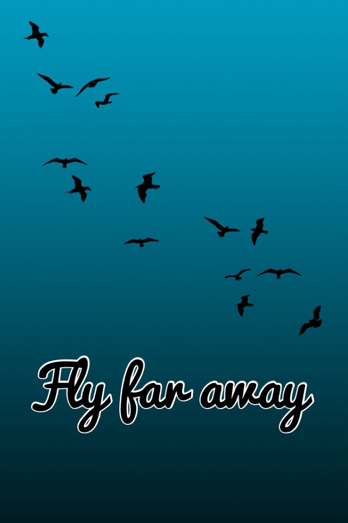 Fly far away 
