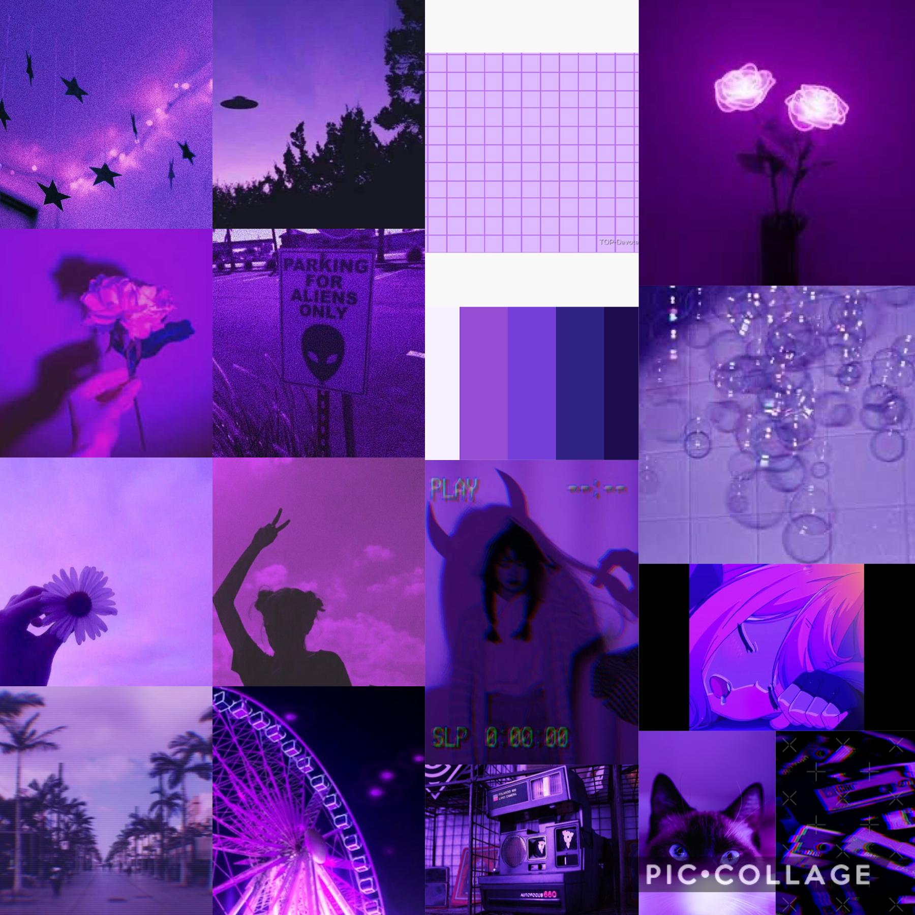 Purple 😈🌂🦄☂️🔮🧬💜