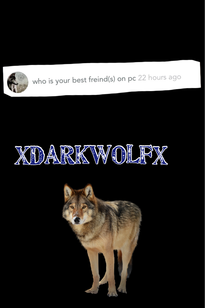 XDarkWolfX is my best friend on PC