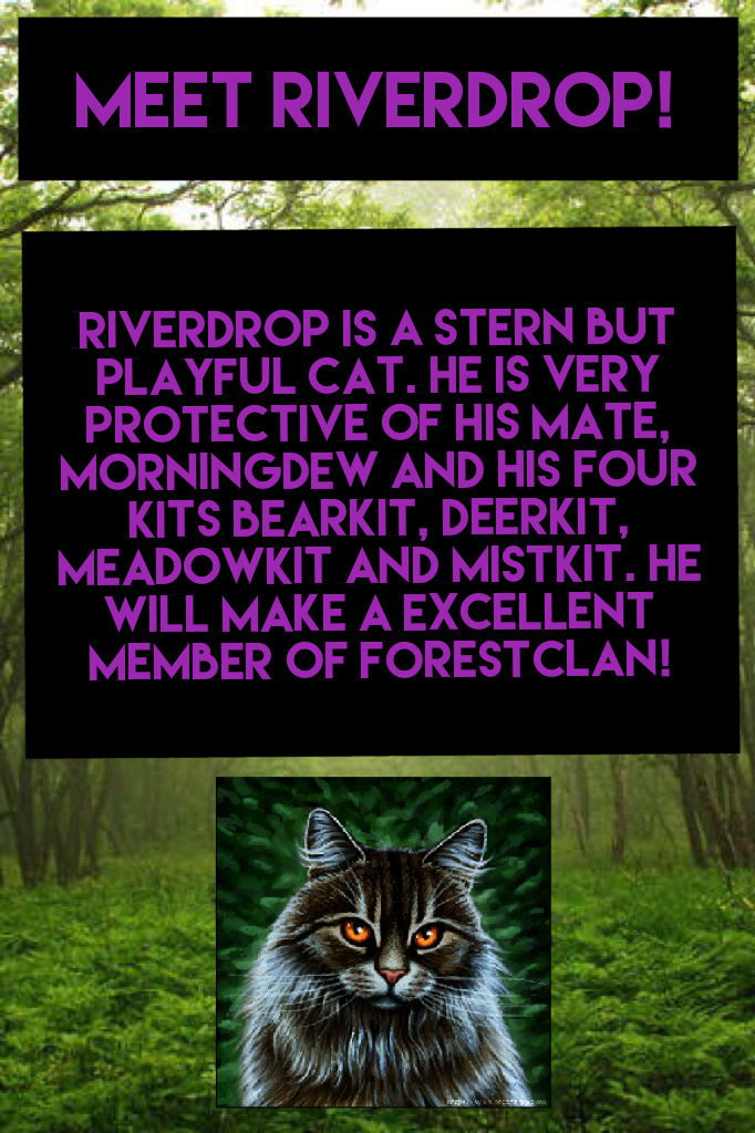 Meet Riverdrop!