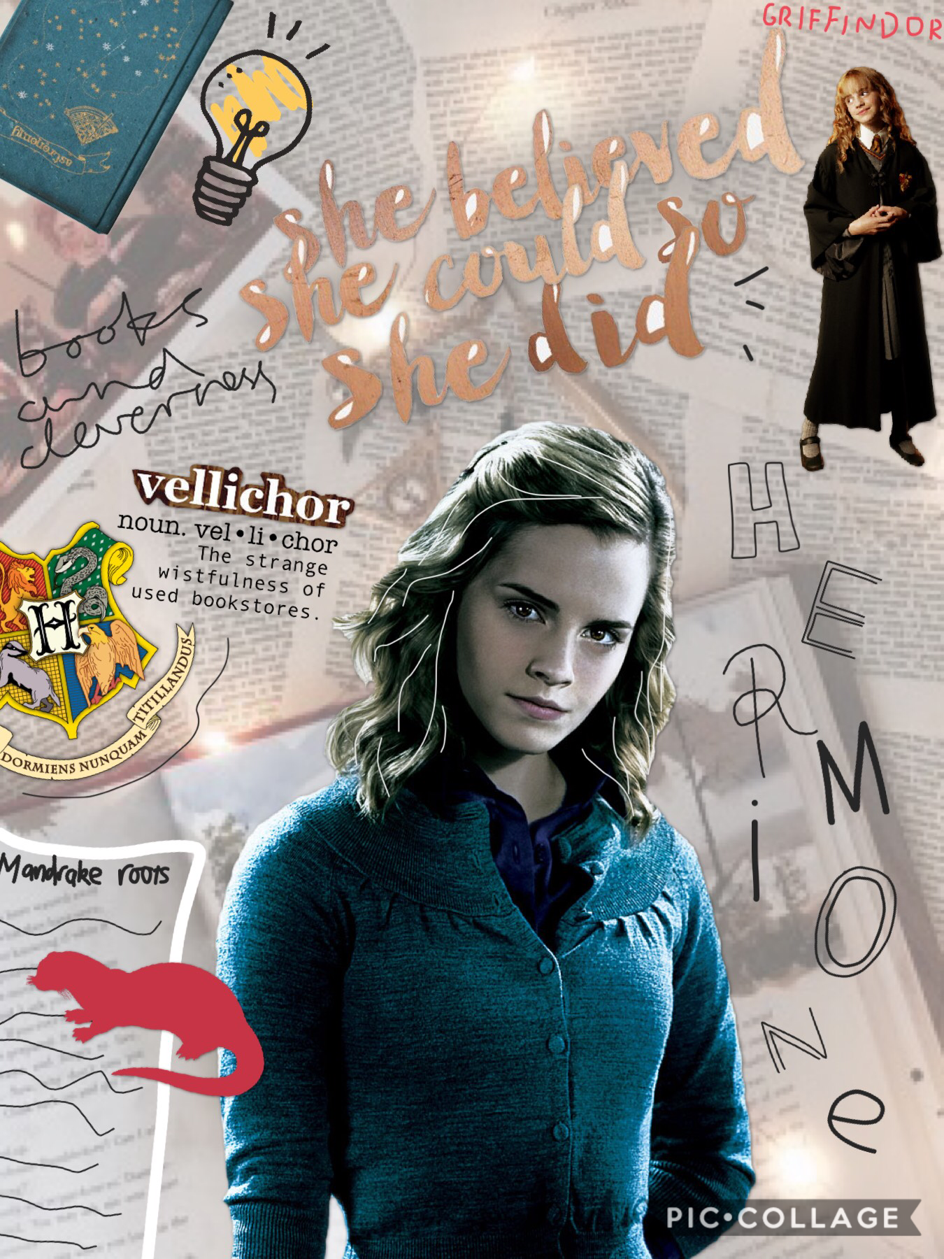 I love Hermione! QOTD: Dramione or Romione? AOTD: Dramione for life! 💚 xoxo Pie
