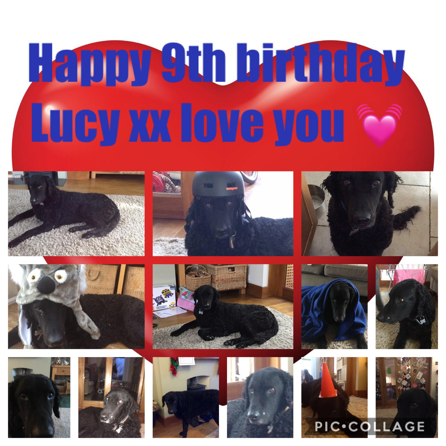 Love you Lucy, happy birthday 🎁 